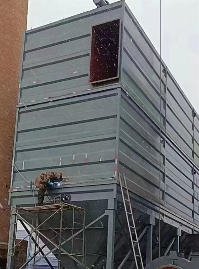 青青草视频下载